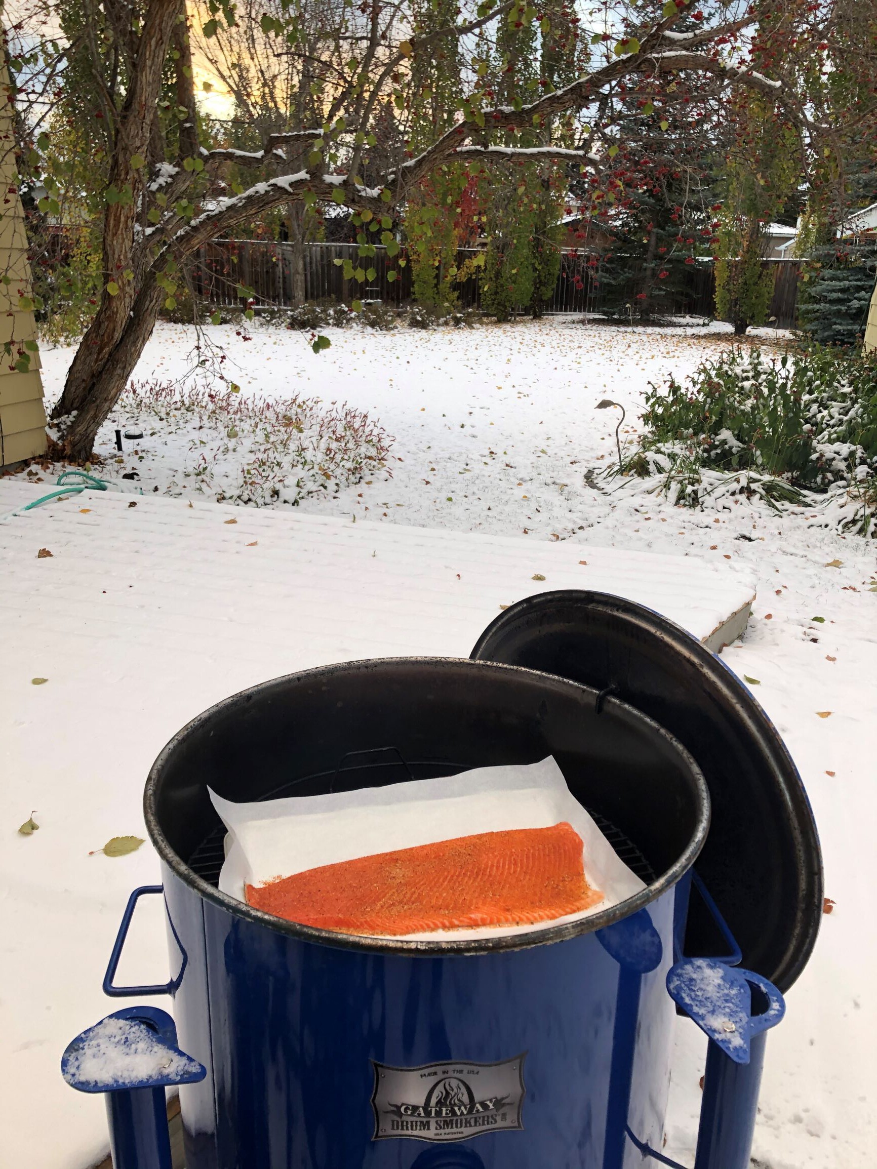 Cooking steelhead fish in cold weather temperatures